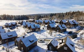 Semi-detached houses Torfhaus - DMG03061-LYD